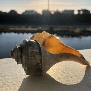 Meet your Posher, Melisa